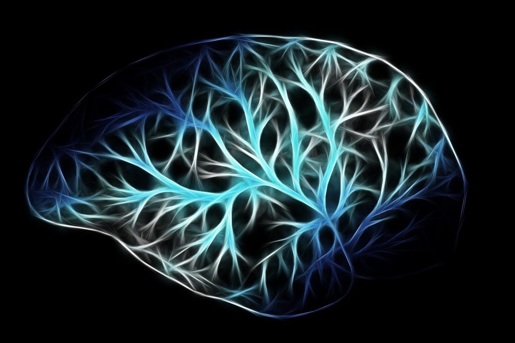 Entrenamiento Cerebral Mediante Biofeedback Y Neurofeedback